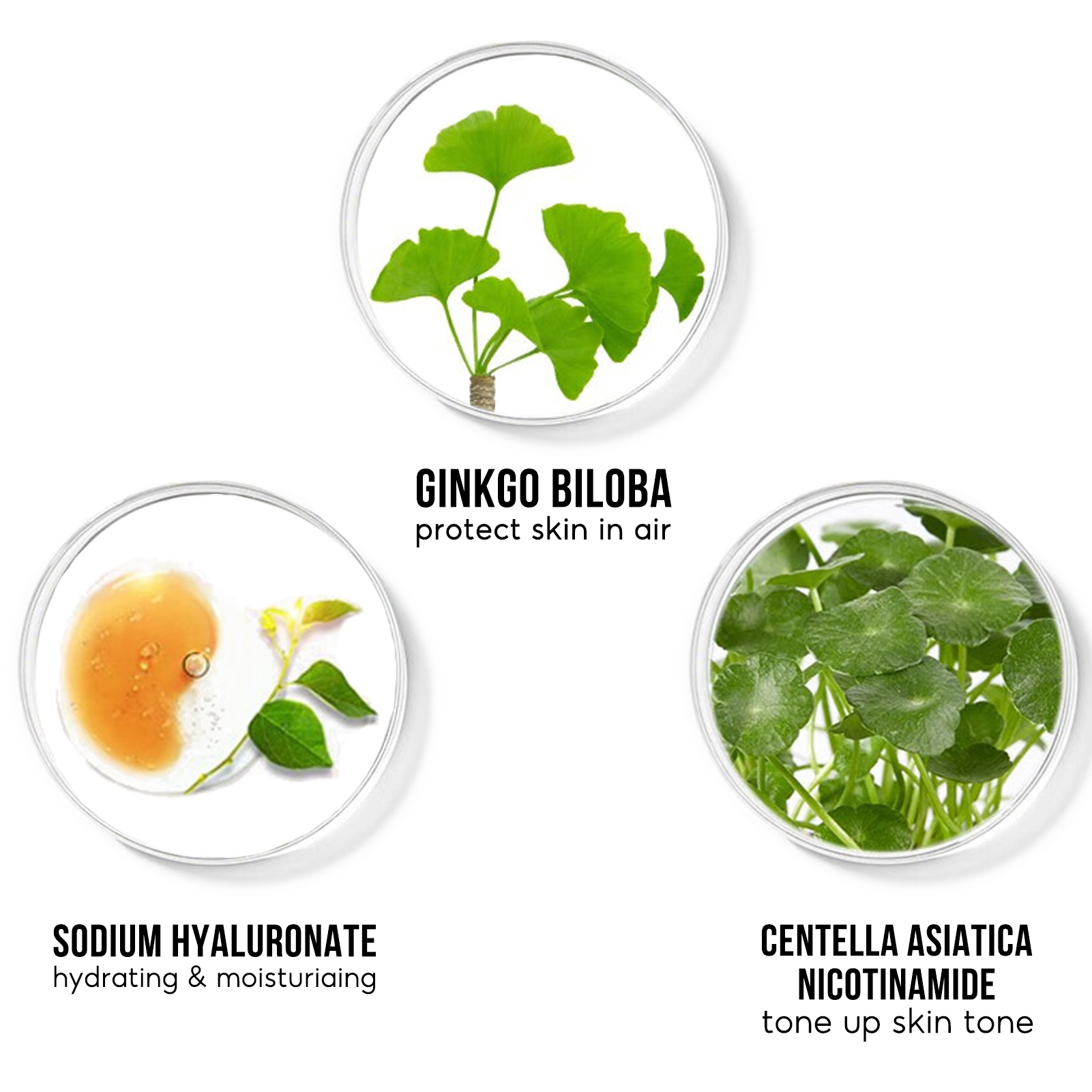 Carslan Face Primer Tone Up Cream, Smoothing Primer with Longlasting Moisturizing, Hydrating, Poreless, Gripping Makeup, 1.05Oz