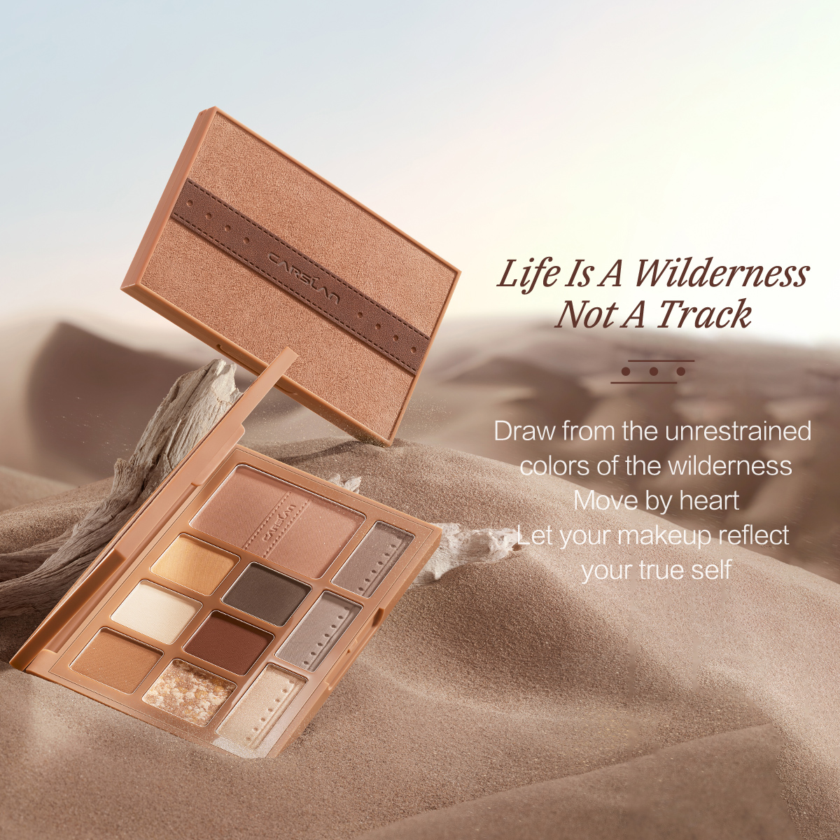 CARSLAN Skily Twinkle Comprehensive Palette,18g/0.63Oz